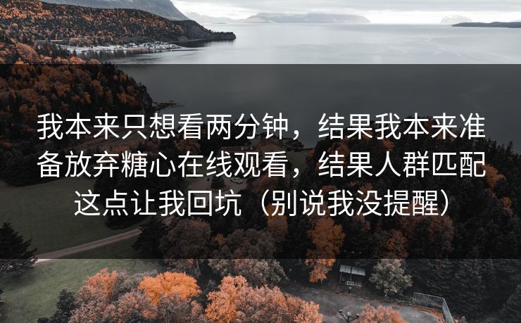 我本来只想看两分钟，结果我本来准备放弃糖心在线观看，结果人群匹配这点让我回坑（别说我没提醒）