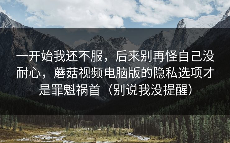 一开始我还不服，后来别再怪自己没耐心，蘑菇视频电脑版的隐私选项才是罪魁祸首（别说我没提醒）