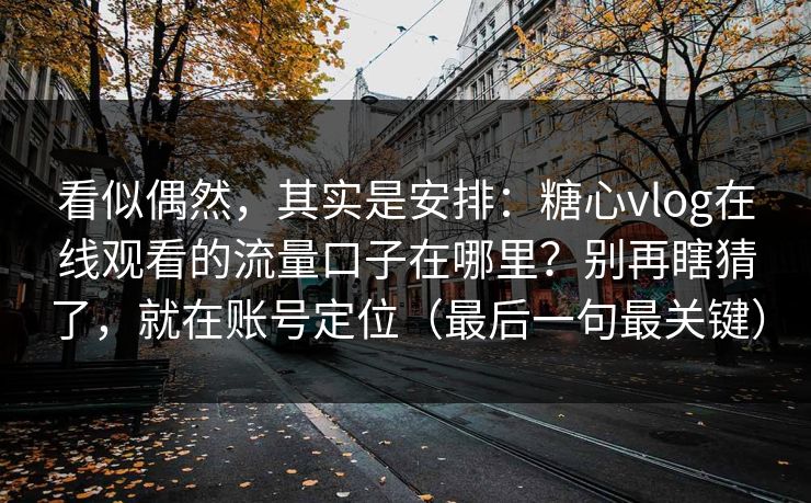 看似偶然，其实是安排：糖心vlog在线观看的流量口子在哪里？别再瞎猜了，就在账号定位（最后一句最关键）