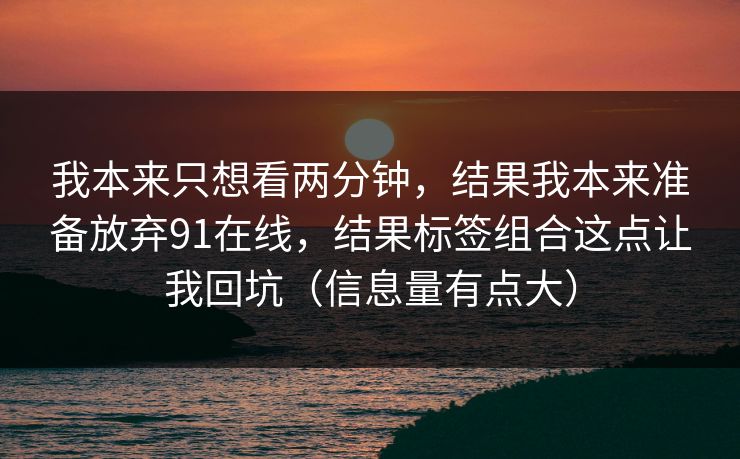 我本来只想看两分钟，结果我本来准备放弃91在线，结果标签组合这点让我回坑（信息量有点大）