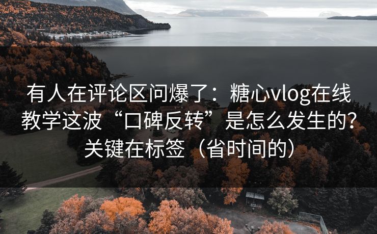有人在评论区问爆了：糖心vlog在线教学这波“口碑反转”是怎么发生的？关键在标签（省时间的）