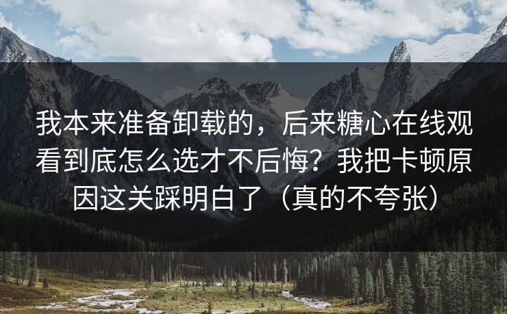 我本来准备卸载的，后来糖心在线观看到底怎么选才不后悔？我把卡顿原因这关踩明白了（真的不夸张）