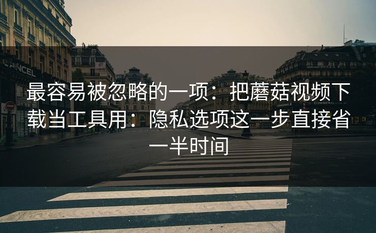 最容易被忽略的一项：把蘑菇视频下载当工具用：隐私选项这一步直接省一半时间