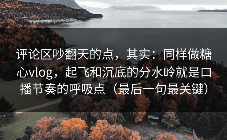 评论区吵翻天的点，其实：同样做糖心vlog，起飞和沉底的分水岭就是口播节奏的呼吸点（最后一句最关键）