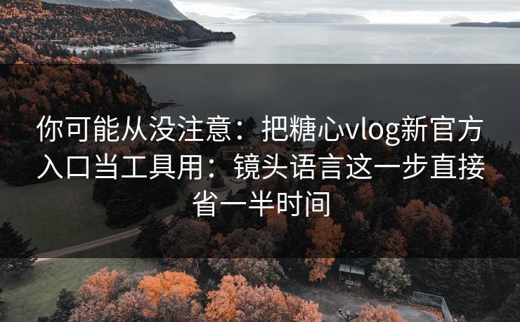 你可能从没注意：把糖心vlog新官方入口当工具用：镜头语言这一步直接省一半时间