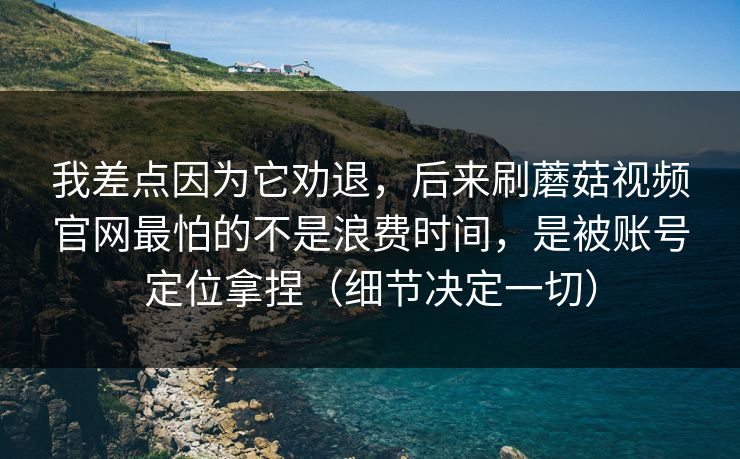 我差点因为它劝退，后来刷蘑菇视频官网最怕的不是浪费时间，是被账号定位拿捏（细节决定一切）