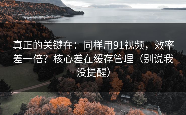真正的关键在：同样用91视频，效率差一倍？核心差在缓存管理（别说我没提醒）