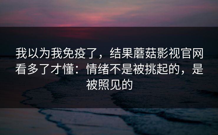 我以为我免疫了，结果蘑菇影视官网看多了才懂：情绪不是被挑起的，是被照见的