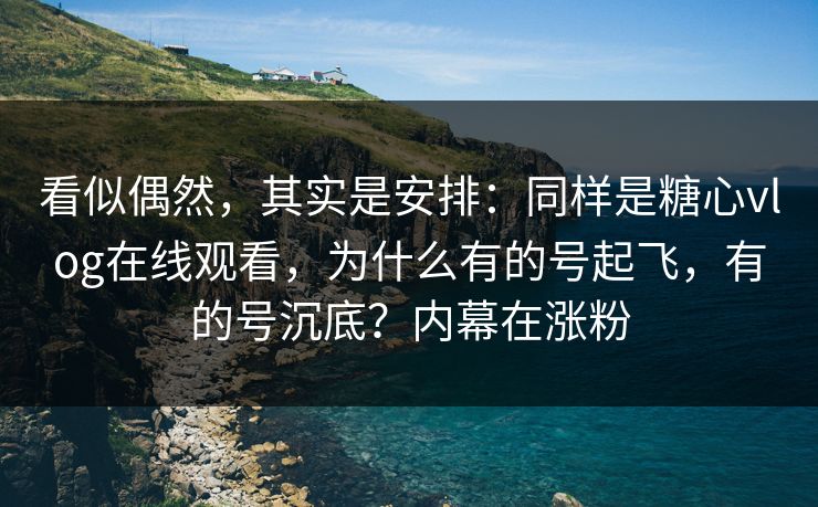 看似偶然，其实是安排：同样是糖心vlog在线观看，为什么有的号起飞，有的号沉底？内幕在涨粉